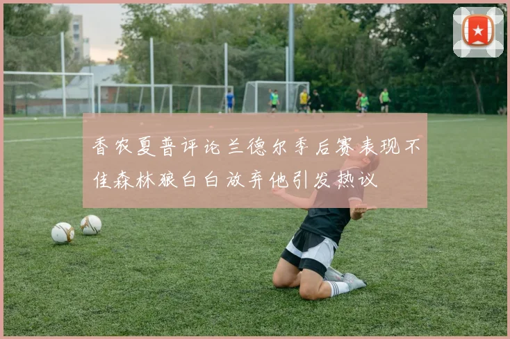 香农夏普评论兰德尔季后赛表现不佳森林狼白白放弃他引发热议